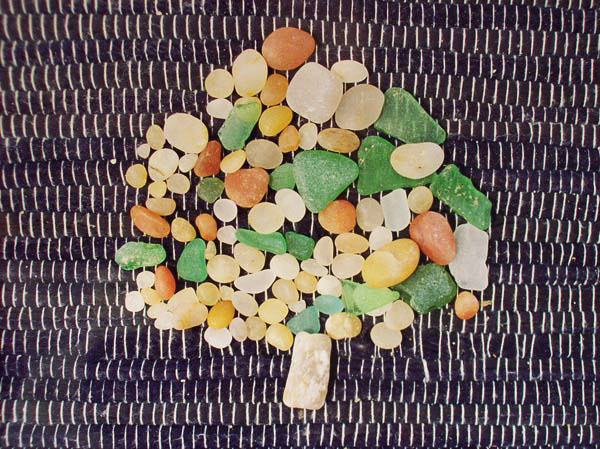 Arvore do praia do no