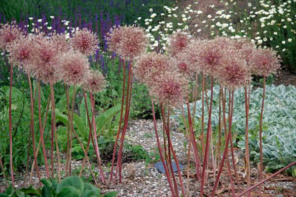 Garten der Sinne, Merzig