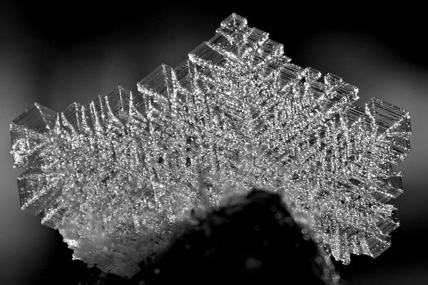 Großes Eiskristallplättchen