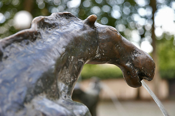 Aufnahme an der 8 Uhr Marke | Aufgenommen um 8 Uhr morgens