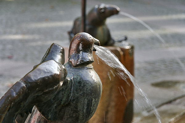 Aufnahme an der 9 Uhr Marke | Aufgenommen um 9 Uhr vormittags