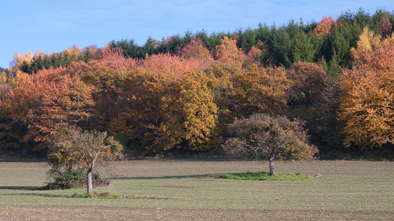 Herbst 2010