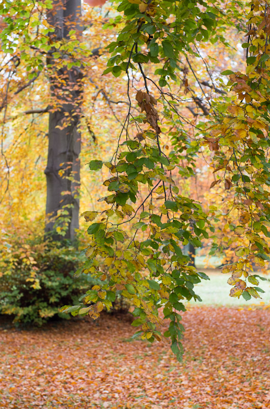 Park Sanssouci, Potsdam