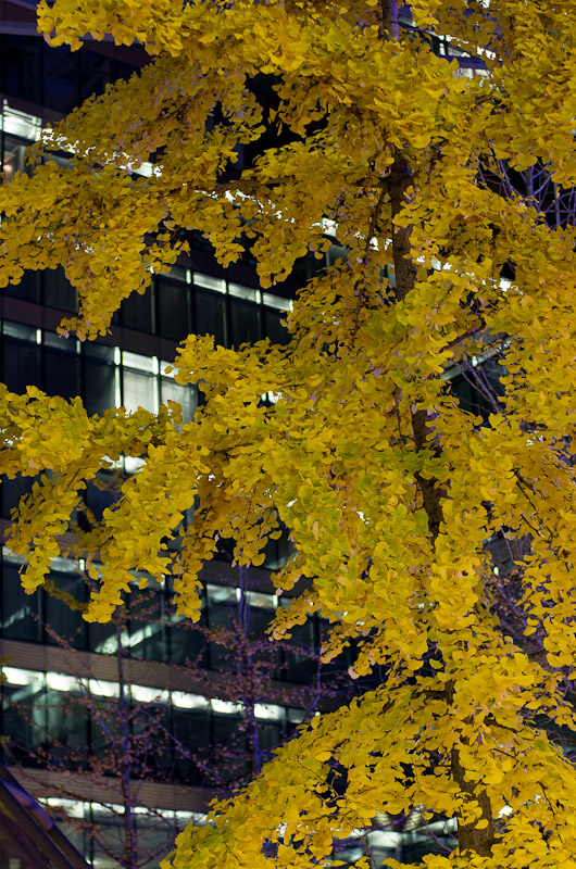 Kurfürstendamm, Berlin