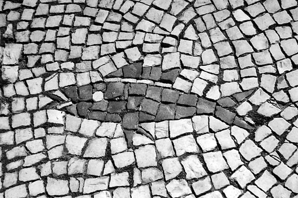 Ein Fisch im Plasterstein